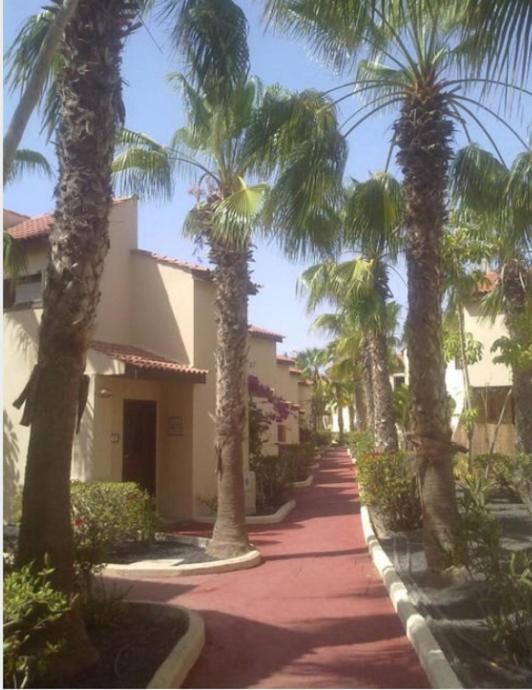 הוילה Parque Holandes Relax A 10 Minuti Da Corralejo מראה חיצוני תמונה